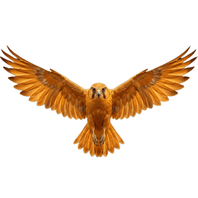 AIJobs Falcon Logo